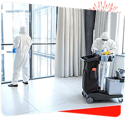 Disinfecting windows and surfaces with professional cleaning services at Sweepy Maids.